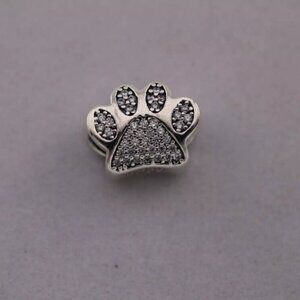 Pandora Charm